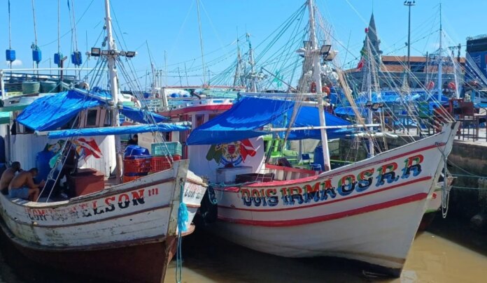 Dois barcos de madeira atracados lado a lado ocupam o primeiro plano da imagem, em um porto repleto de embarcações. Os cascos brancos exibem nomes pintados à mão com letras grandes, coloridas e ornamentadas: "GILSON III", à esquerda, e "DOIS IRMÃOS R.R.", à direita. As inscrições chamam a atenção pelos contornos em vermelho, azul e verde, característica da tradicional arte dos abridores de letras da Amazônia. Ao fundo, dezenas de mastros, redes e lonas azuis compõem a paisagem do porto sob um céu azul e ensolarado.